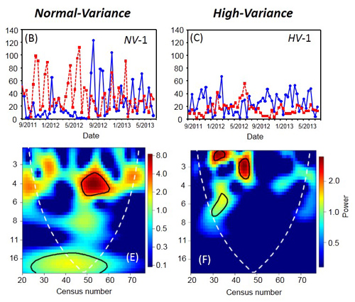 time series and wavelet analysis